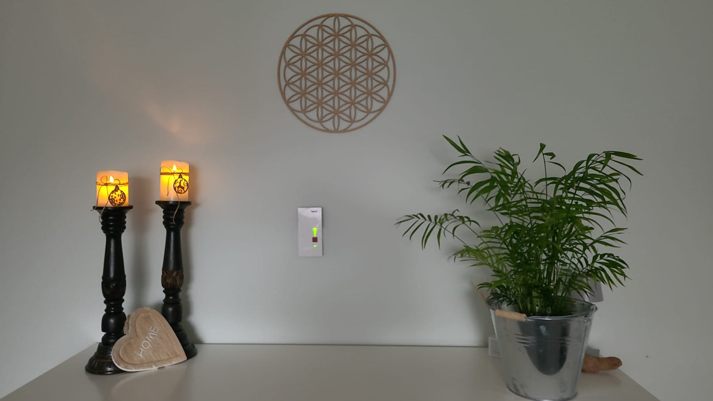 Lebensblume Harmonisierendes Symbol für Zuhause & Büro